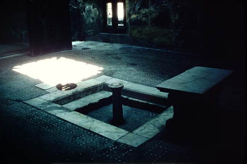 III.11 Herculaneum, 1957. Impluvium in atrium. Photo by Stanley A. Jashemski.
Source: The Wilhelmina and Stanley A. Jashemski archive in the University of Maryland Library, Special Collections (See collection page) and made available under the Creative Commons Attribution-Non Commercial License v.4. See Licence and use details. J57f0441